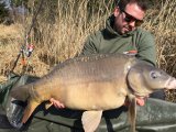 Fische 2015