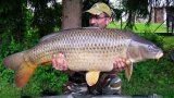 Fische 2015